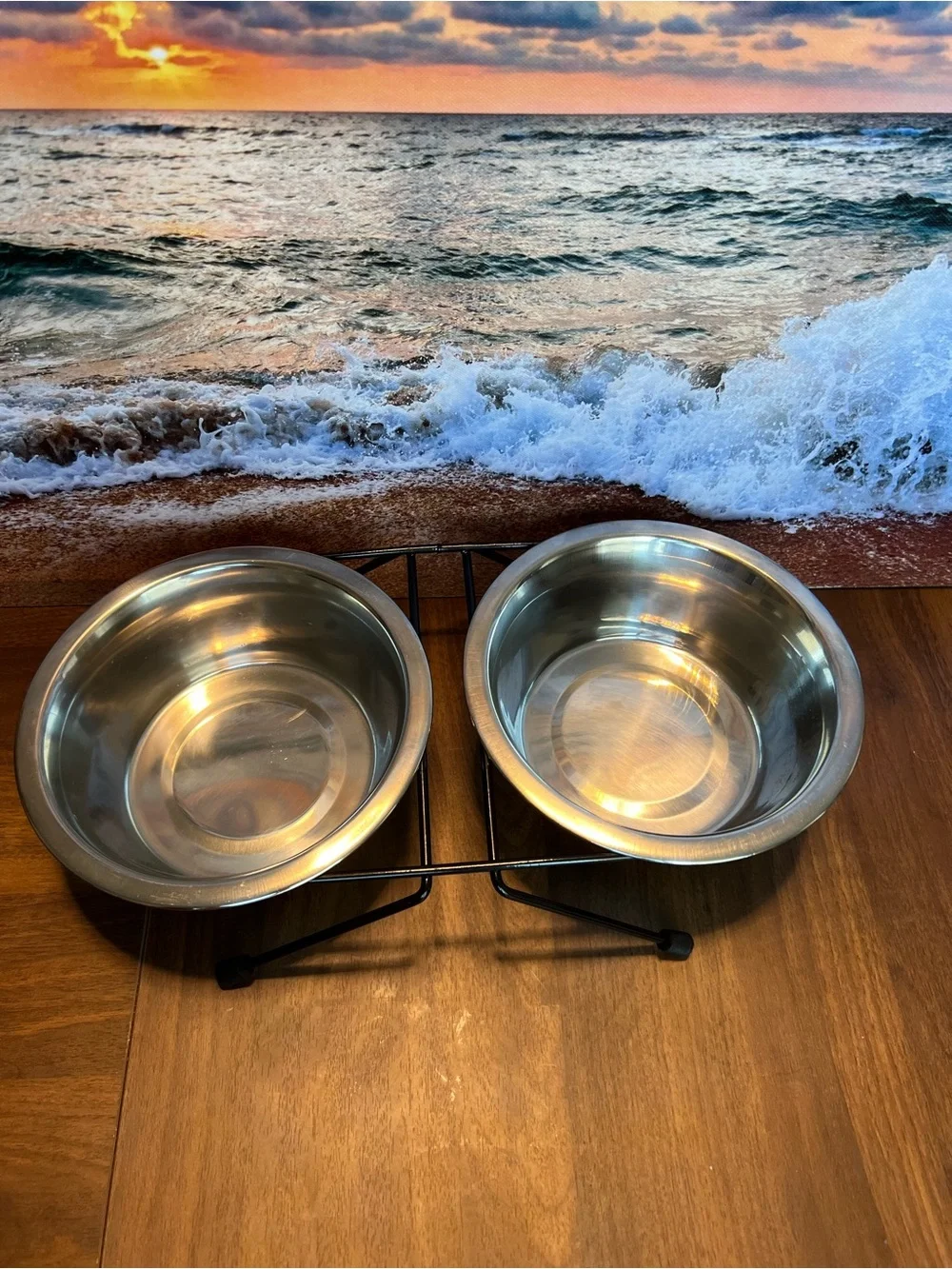 Double Stainless Steel Pet Bowl Set with Black Elevated Stand